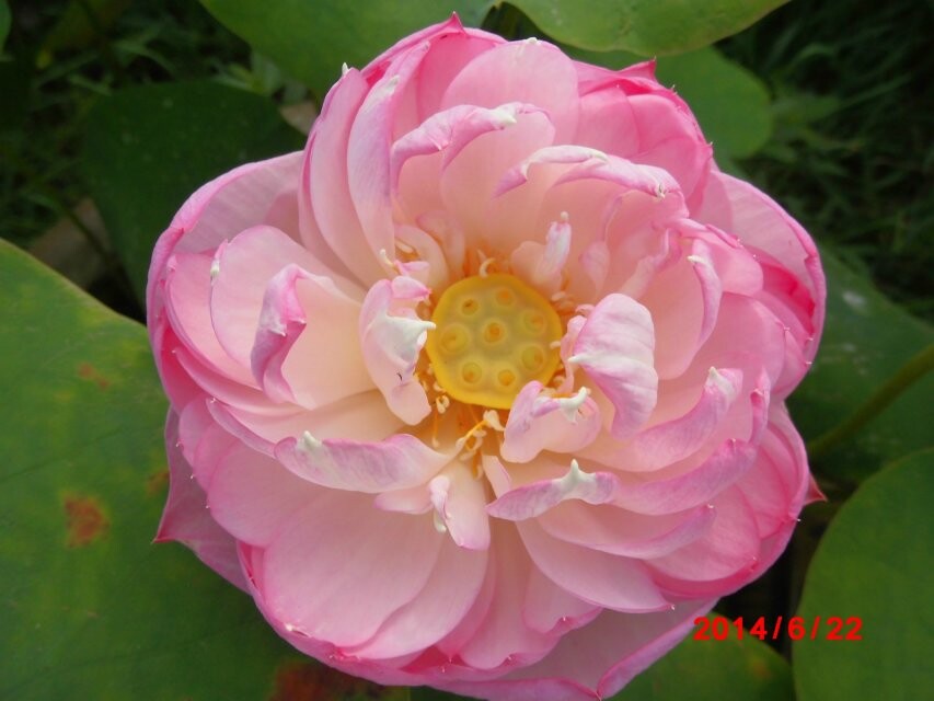 qqͼƬ20140624085543.jpg
