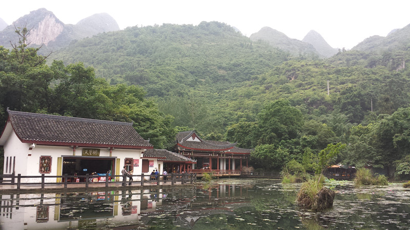 20140610_113348_.jpg