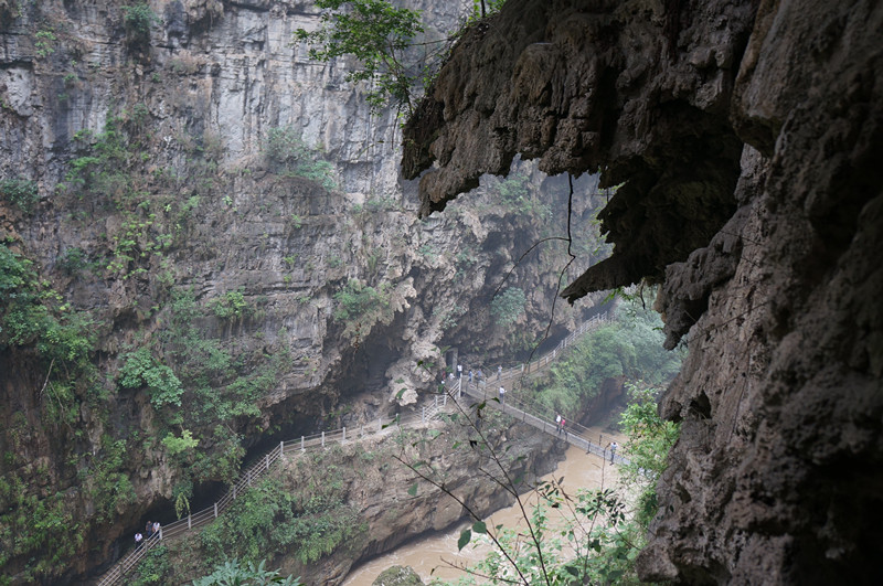 dsc01575_.jpg