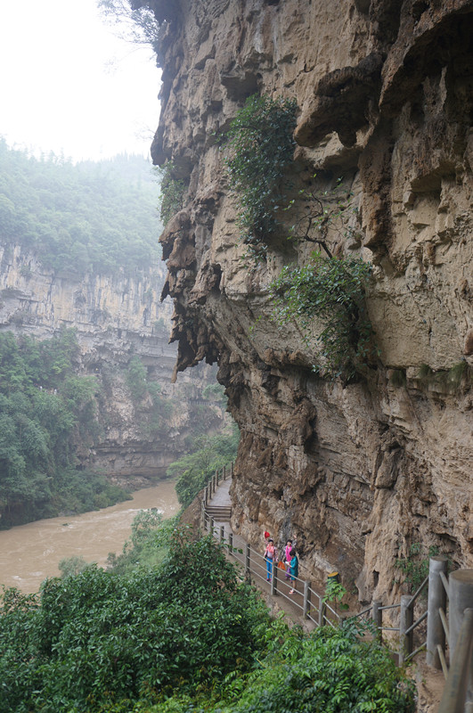 dsc01560_.jpg