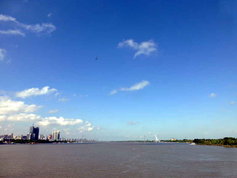 p1220611.jpg