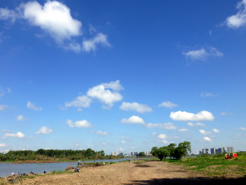 p1220630.jpg