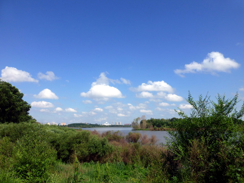 p1220639.jpg