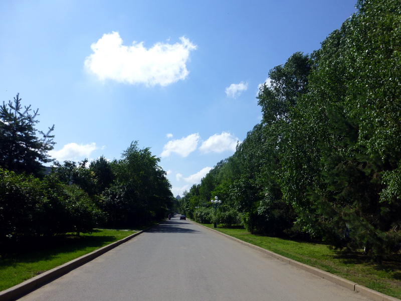p1220655.jpg