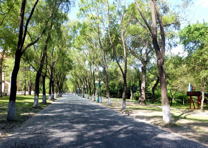 p1220659.jpg