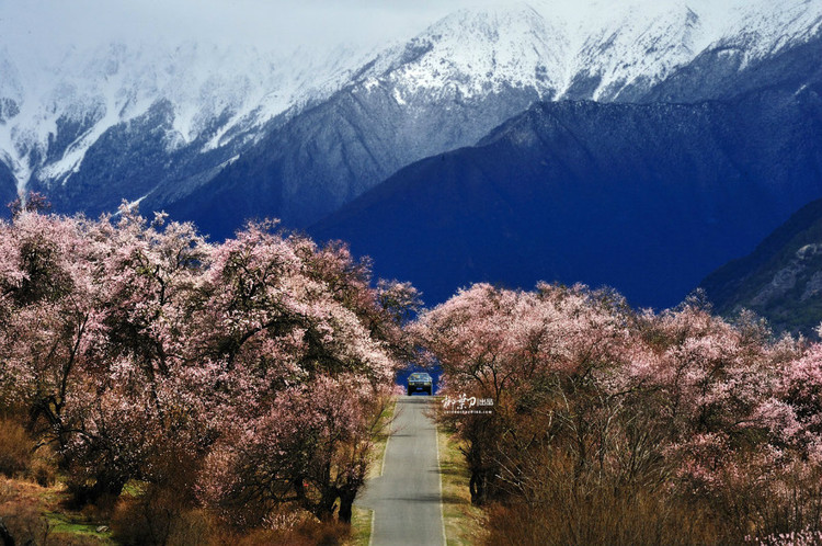 桃花源002.jpg