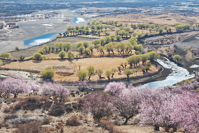 倘若迷路，我愿坠入桃花深处004.jpg
