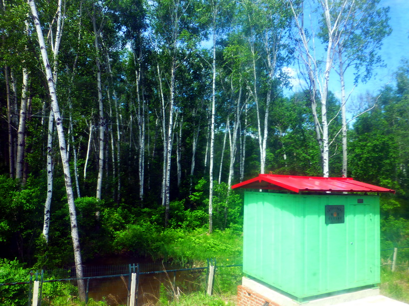 p1220783.jpg