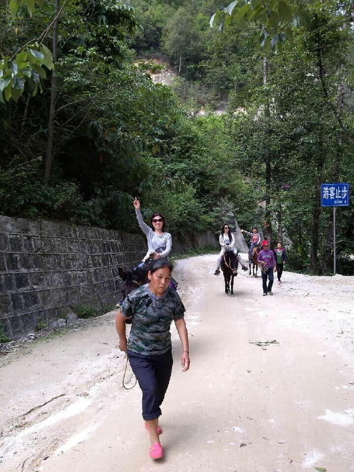 qq图片20140629121130.jpg