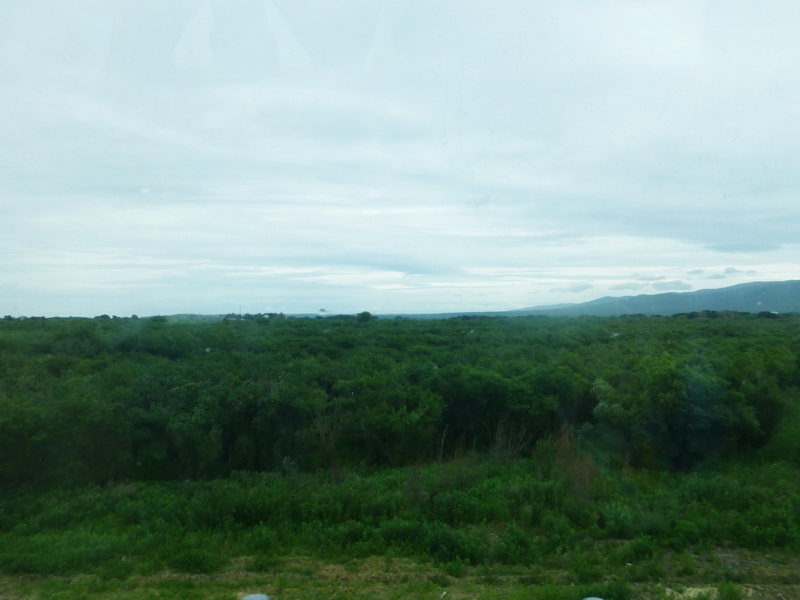 p1220869.jpg