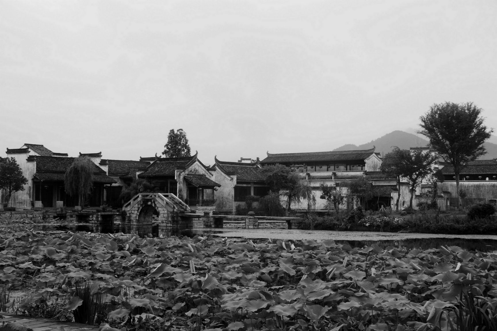 _mg_1915.jpg