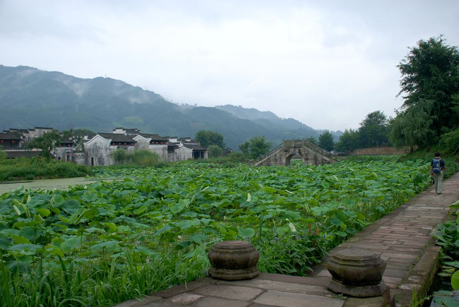 dsc_0172_副本.jpg