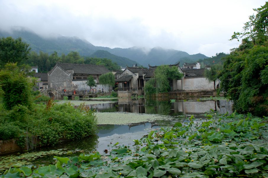 dsc_0013_副本.jpg