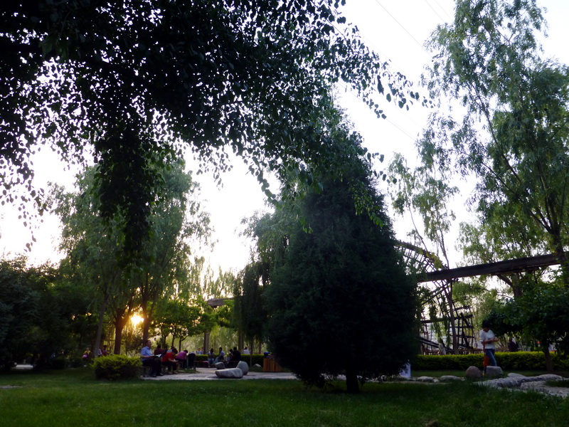 p1210986.jpg