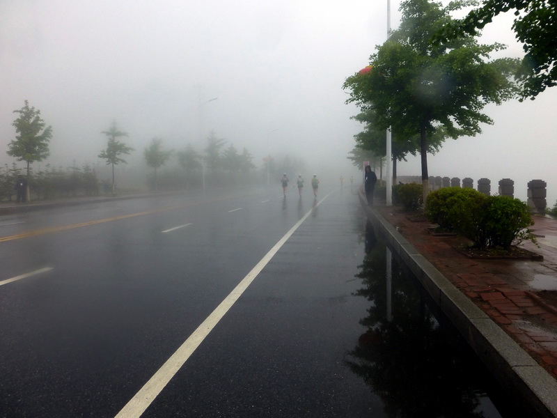 p1210713.jpg