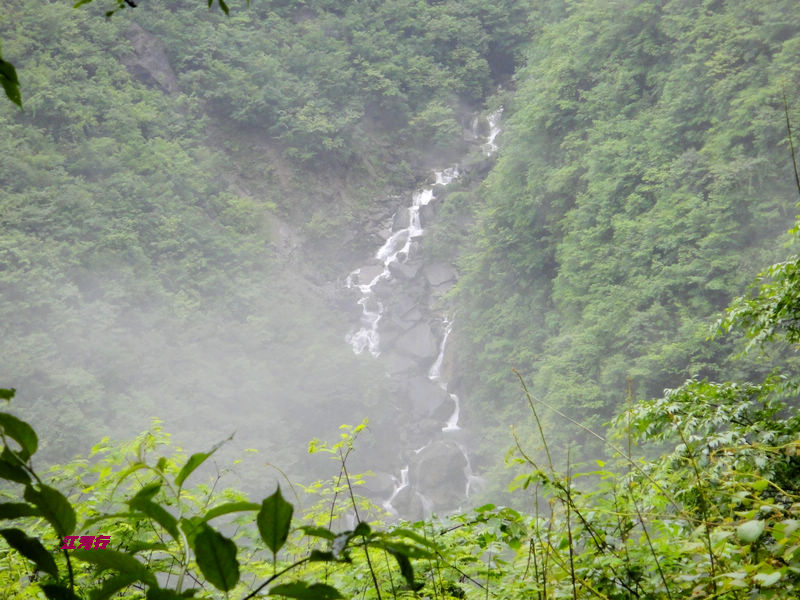dsc02032.jpg