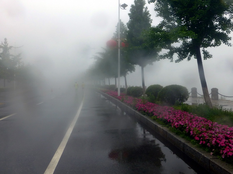 p1210722.jpg