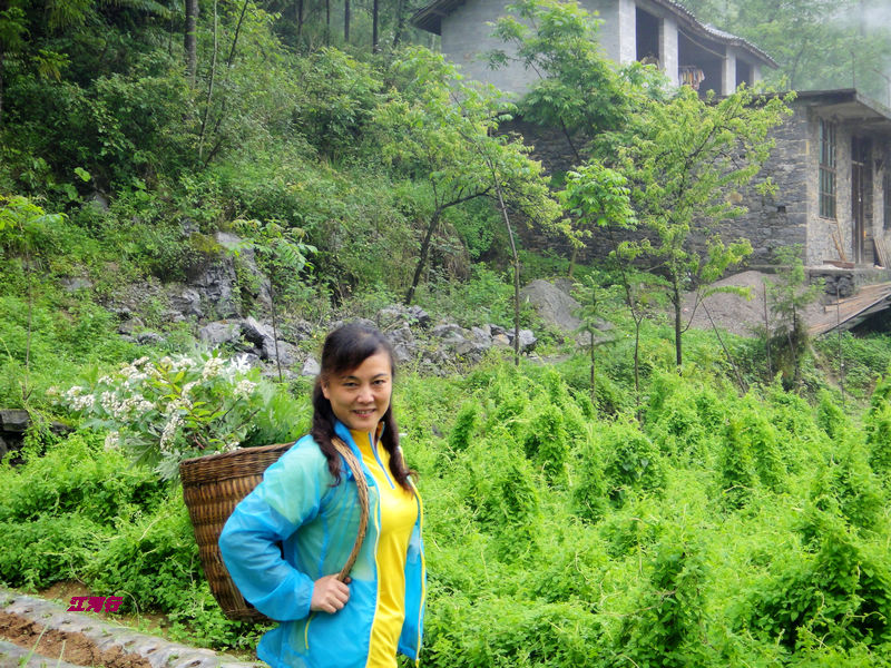 dsc02013.jpg