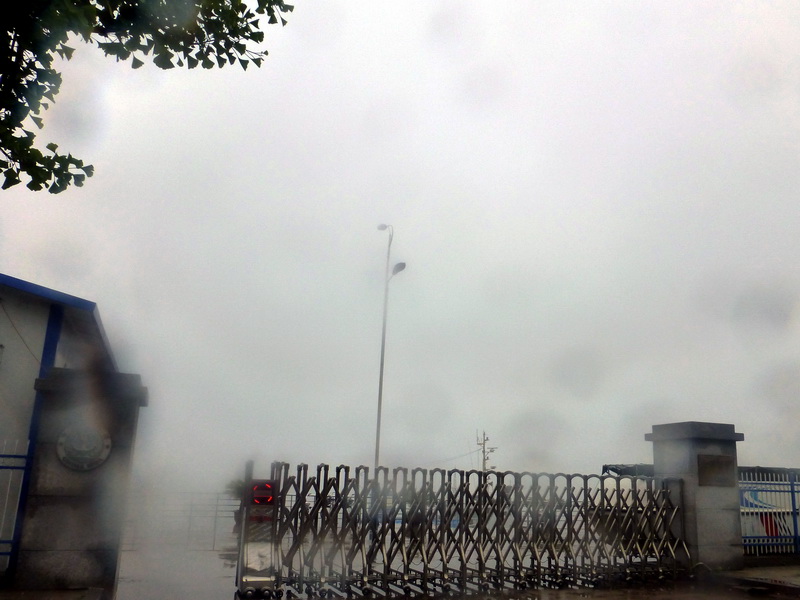 p1210726.jpg