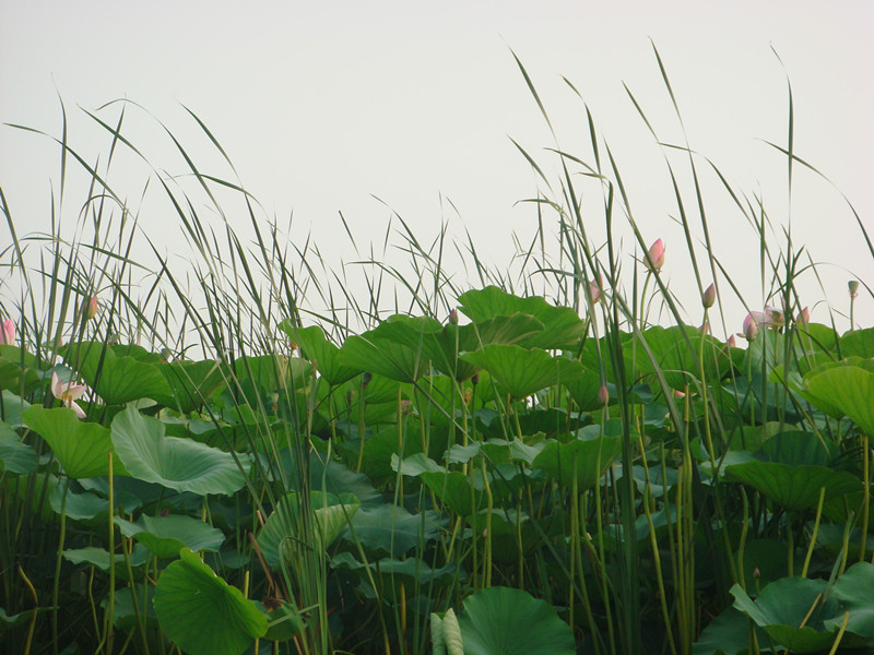 dsc06573_副本.jpg