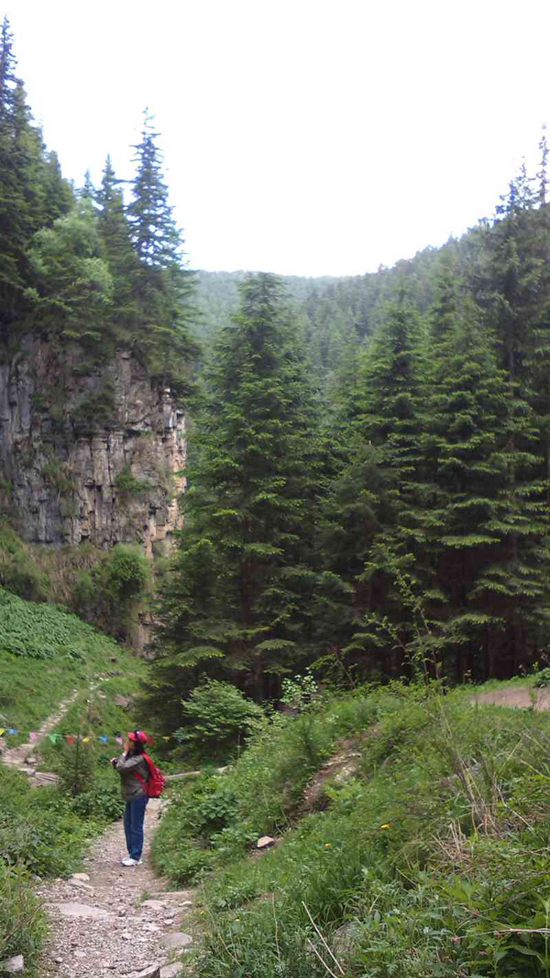 img_20140608_160223.jpg
