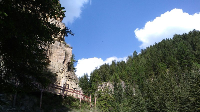 img_20140608_161415.jpg