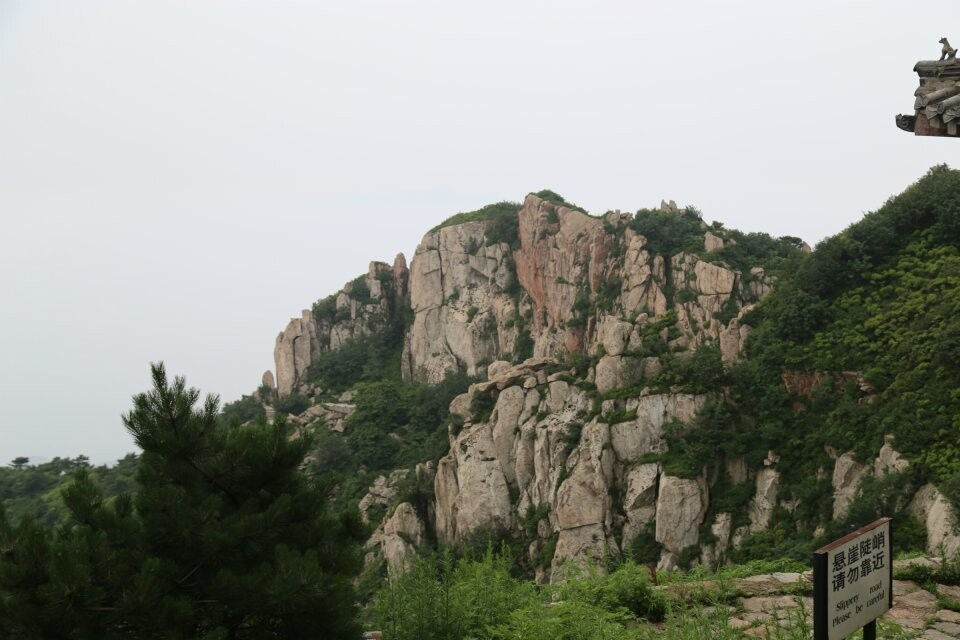 qq图片20140711083854.jpg