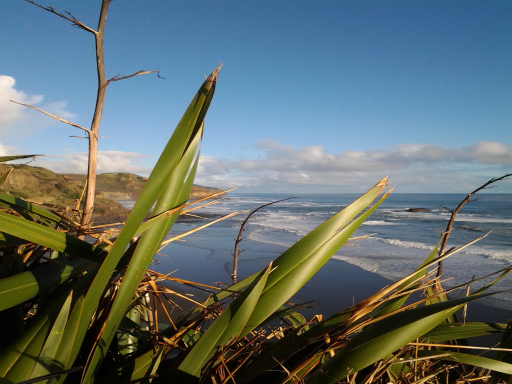 20140713_121037.jpg