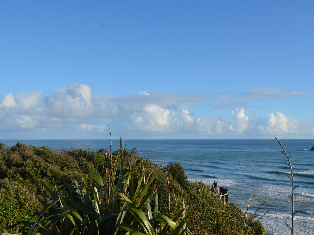 dsc_0541.jpg