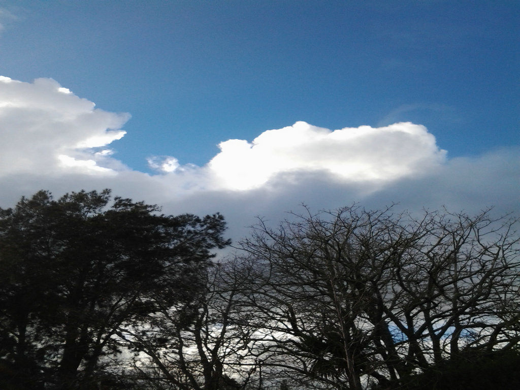 20140713_074418.jpg