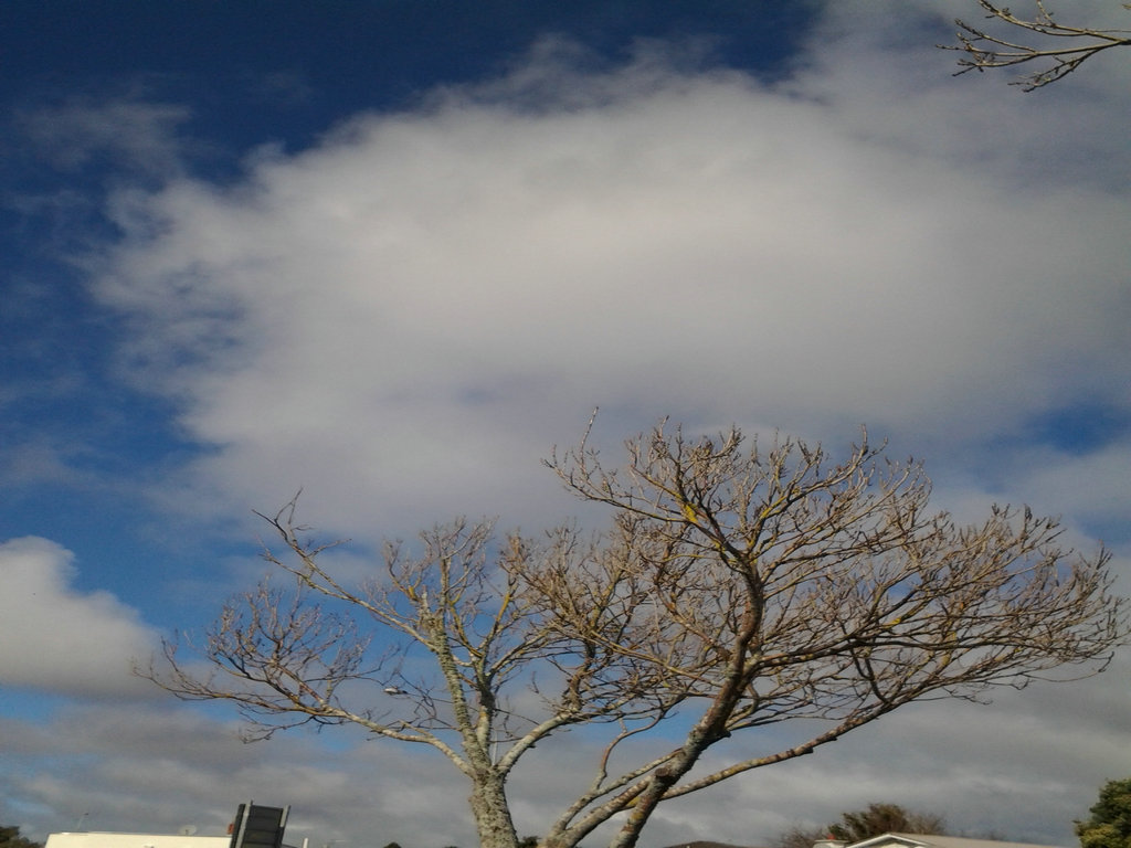 20140713_075809.jpg