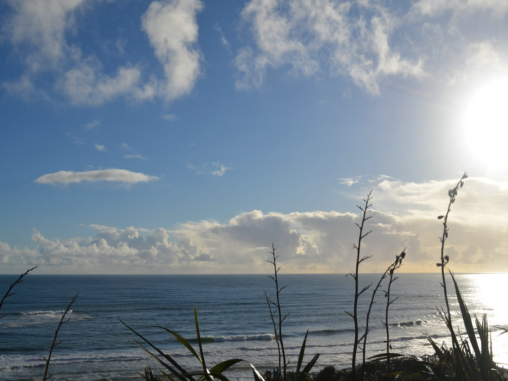 dsc_0545.jpg