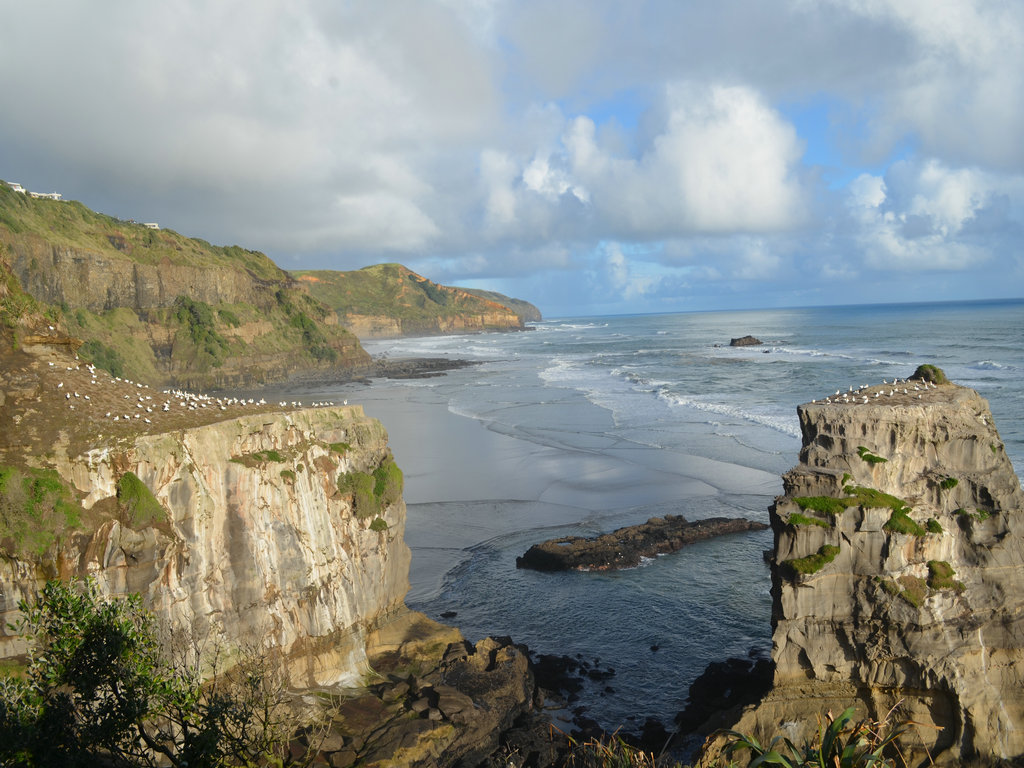 dsc_0537.jpg