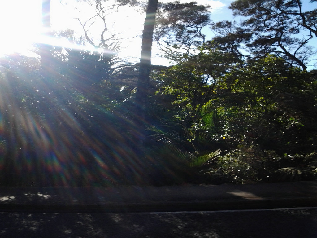20140713_111640.jpg