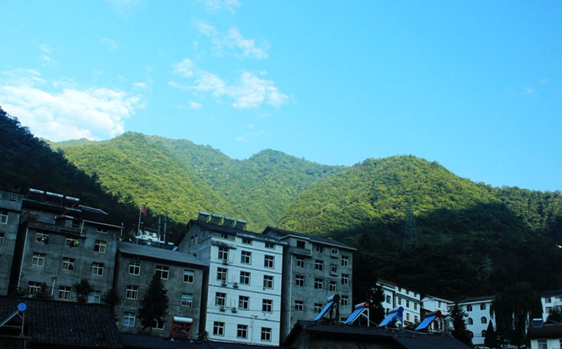 img_0769.jpg