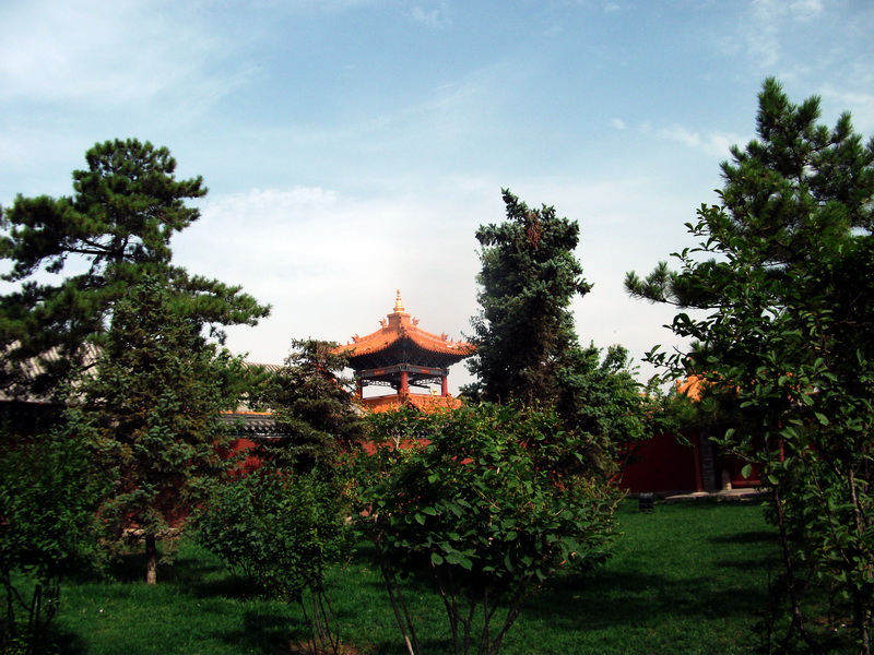 dscf0098.jpg