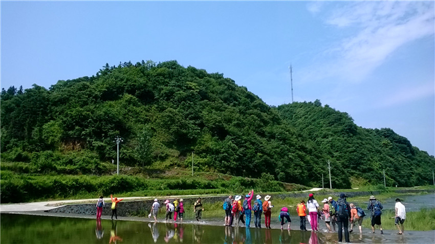 medialib_camera roll_wp_20140713_001_.jpg