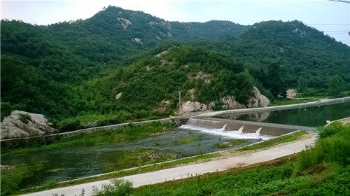 medialib_camera roll_wp_20140713_049_.jpg