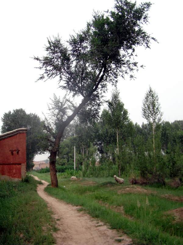 dscf0108.jpg