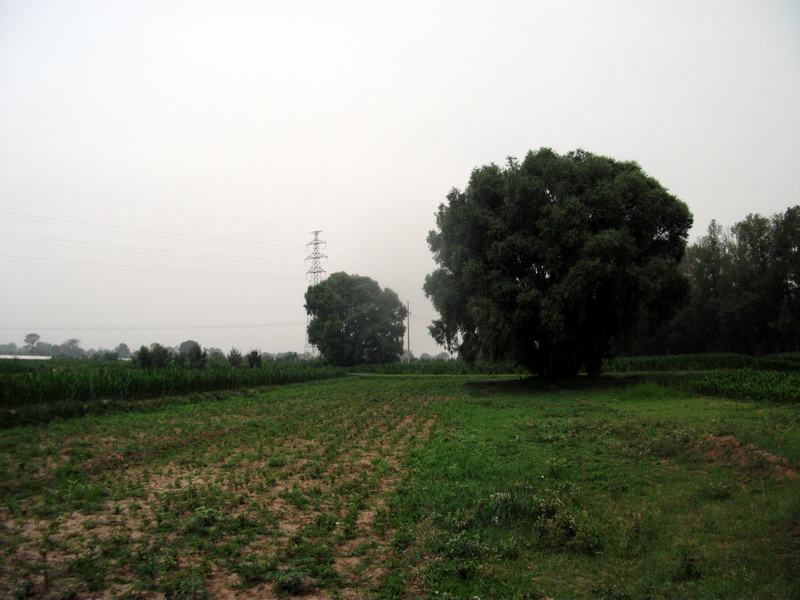 dscf0123.jpg