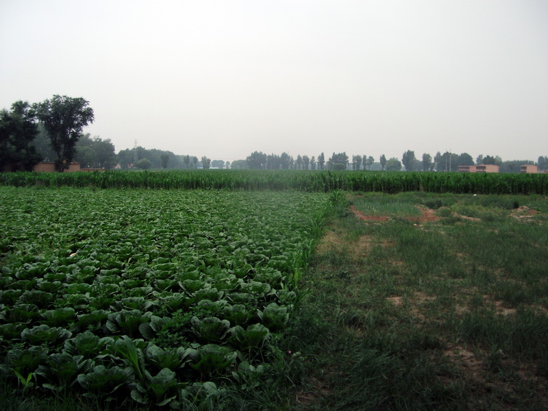 dscf0117.jpg