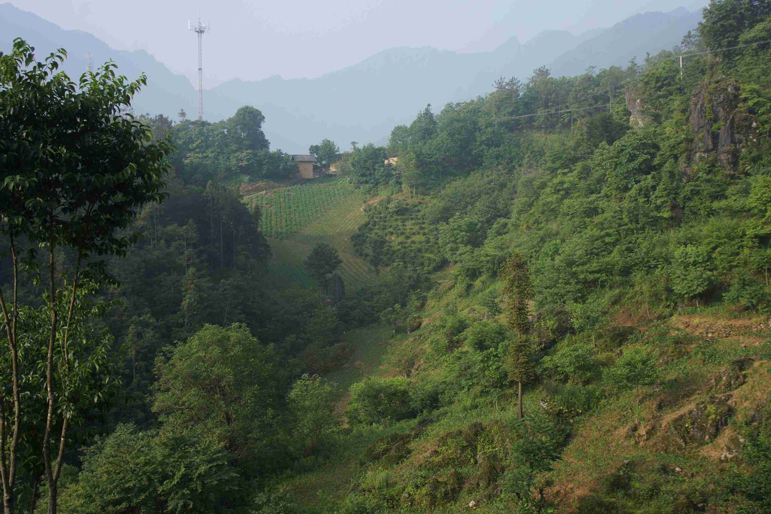 dsc06988.jpg