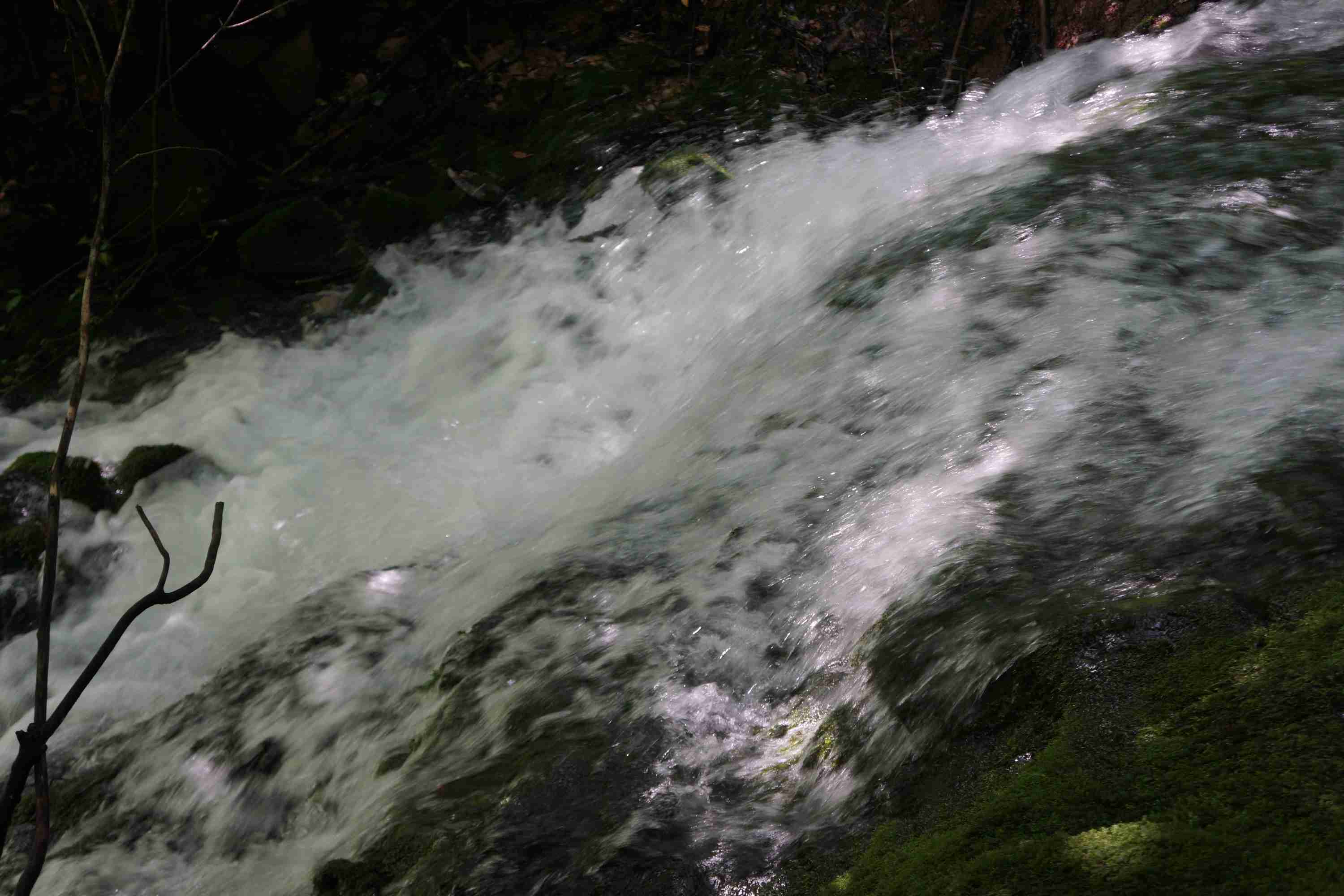 dsc07037.jpg