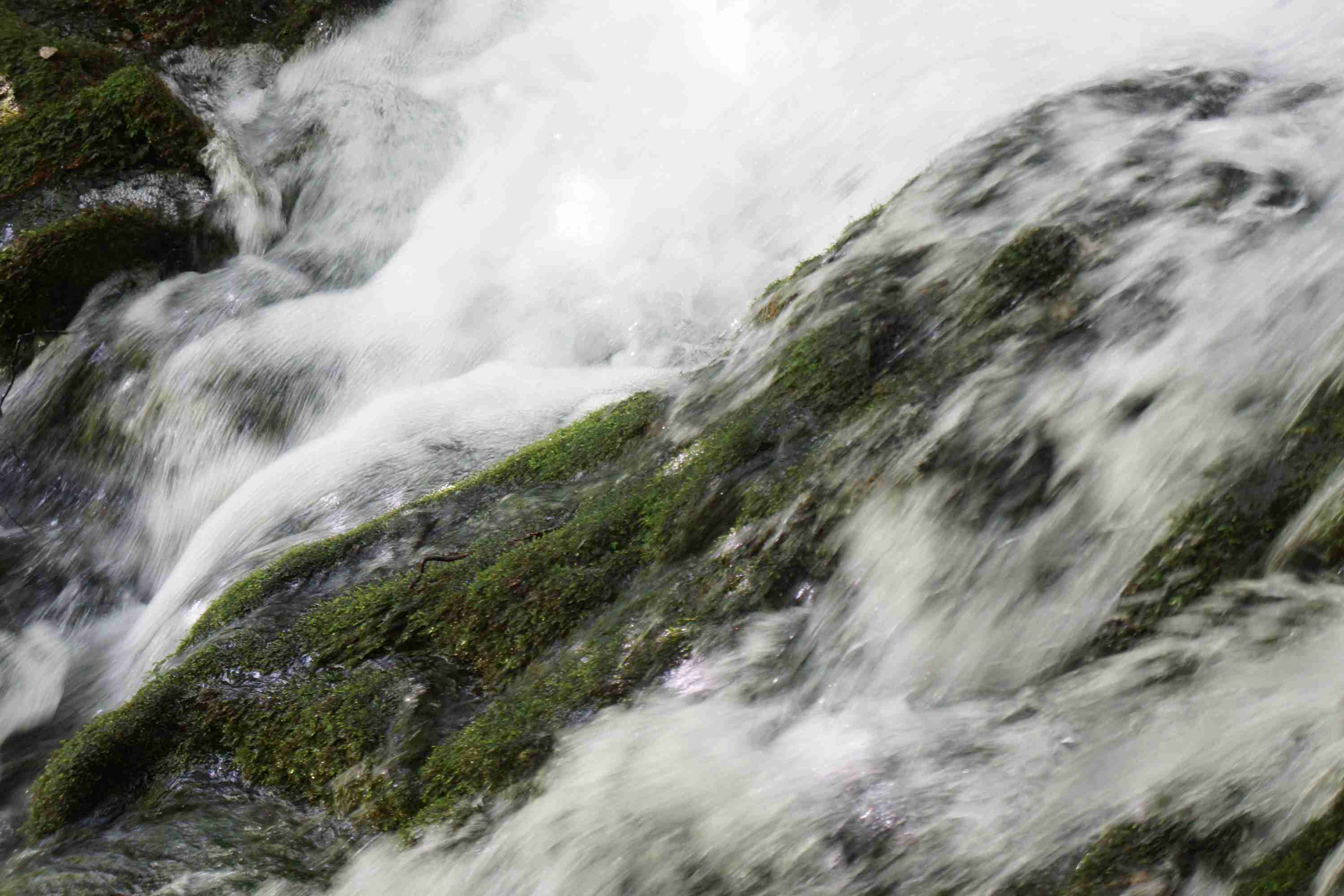 dsc07071.jpg