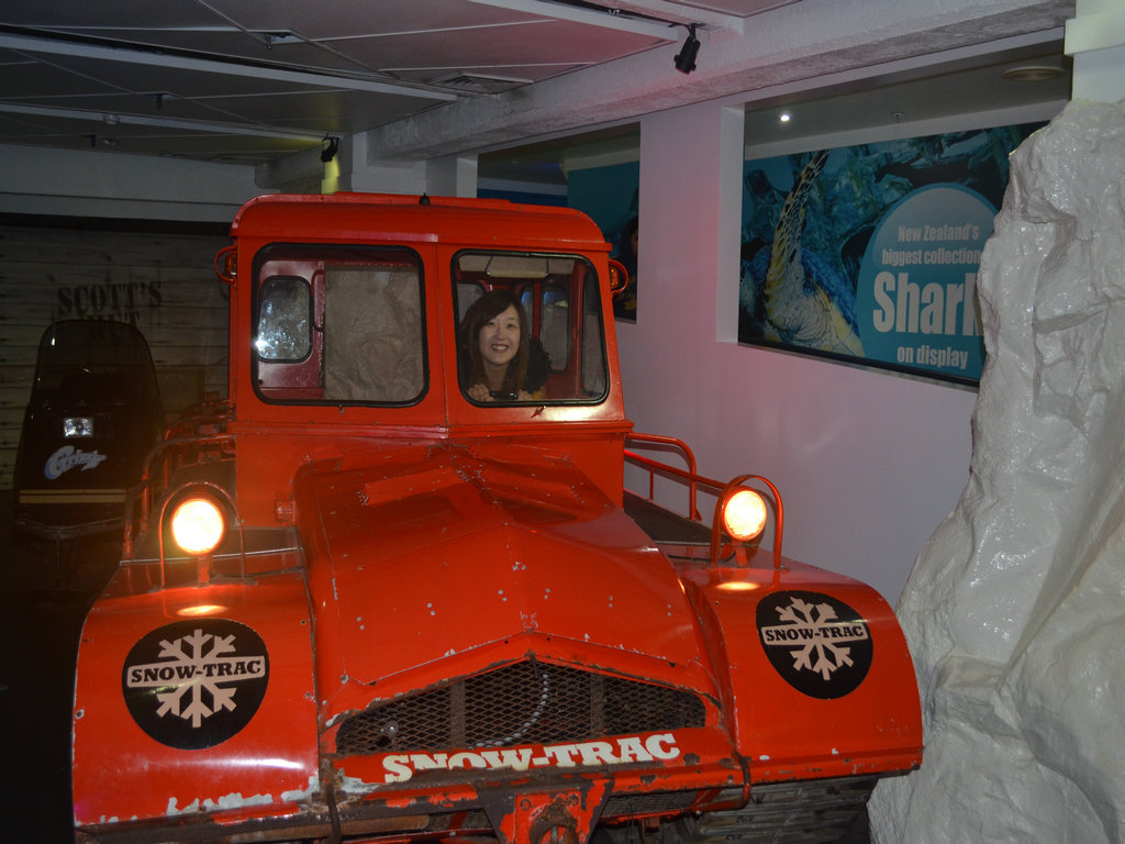 dsc_0348.jpg