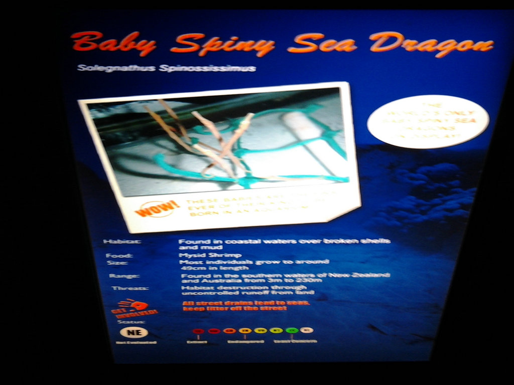 20140712_115522.jpg