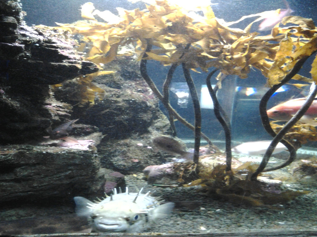 20140712_114818.jpg