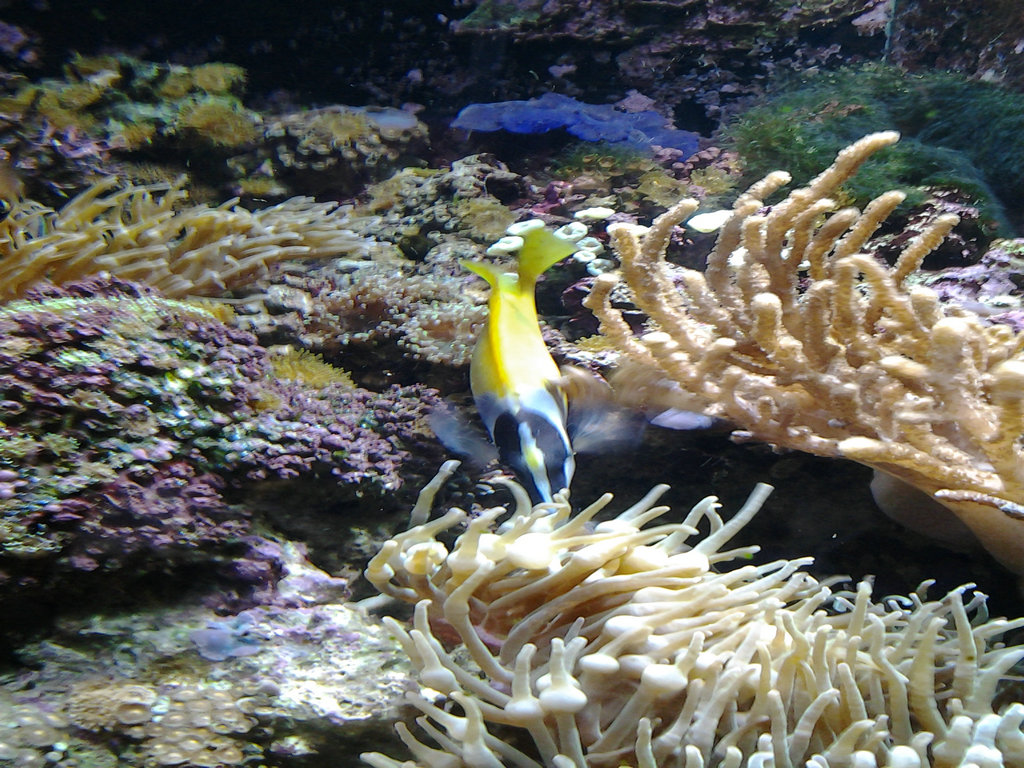 20140712_120727.jpg