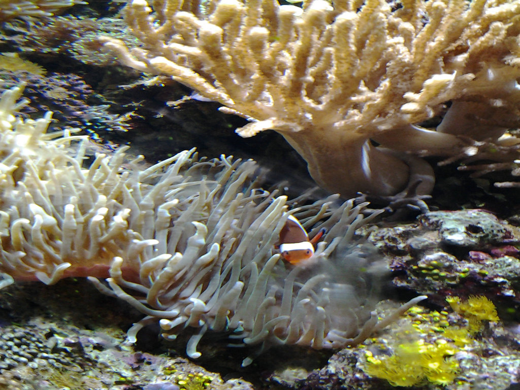 20140712_120646.jpg