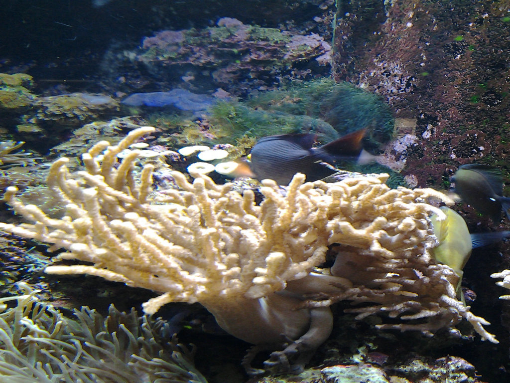 20140712_120426.jpg
